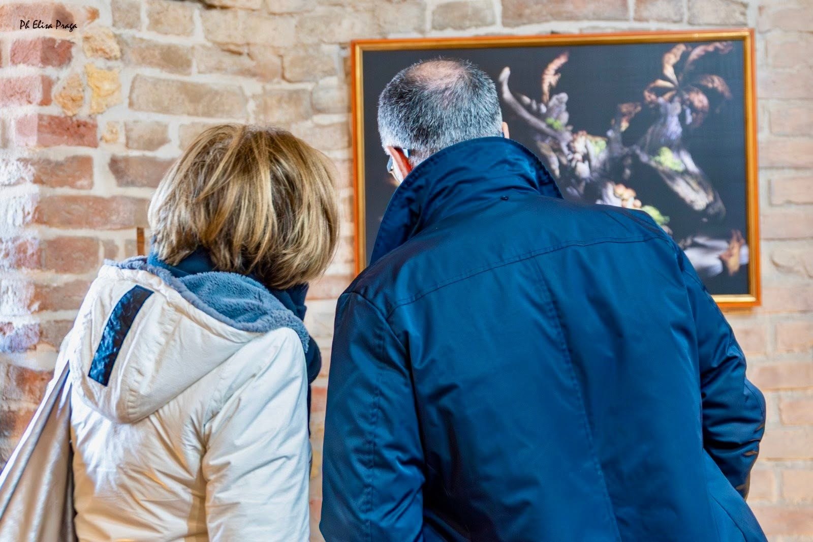 IN|VISIBILE al Moncalvo Expo: fotografia 42 dell’inaugurazione e dell’allestimento